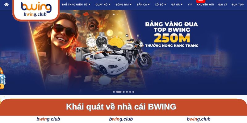 Khái quát sơ lược về nhà cái 