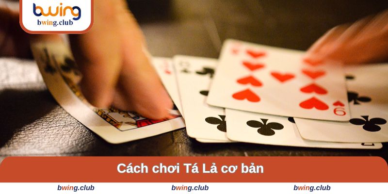 Hướng dẫn cách trải nghiệm chi tiết
