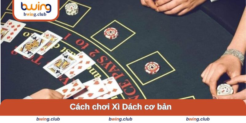 Cách đánh chi tiết dễ dàng