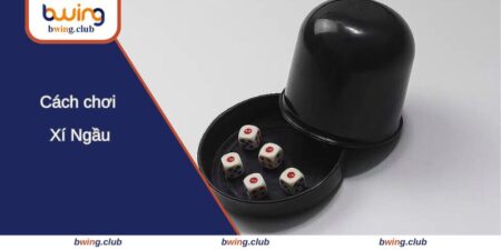 cach choi xi ngau avt