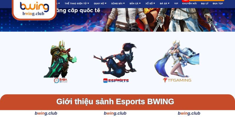 Giới thiệu về sảnh game