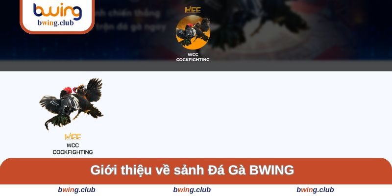 Giới thiệu về sảnh game