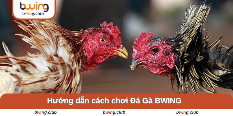 Hướng dẫn cách tham gia vào trò này
