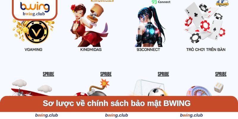 Khái quát về các chính sách quyền riêng tư