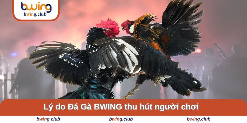 Lý do sảnh game thu hút người chơi