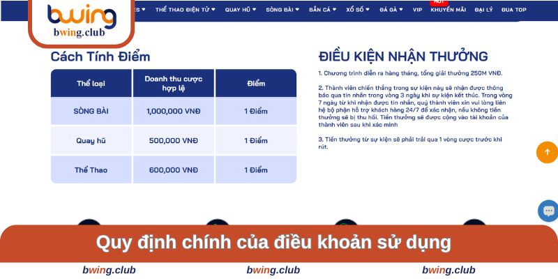 Quy định chính của điều khoản