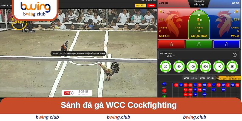 Khái quát về sảnh game WWC Cockfightting