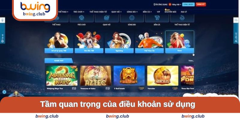 Khái quát sự quan trọng của các điều khoản